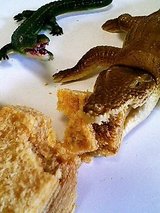 お、おまえよっぽど食いたかってんな・・・!