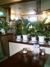 あーばん 店内