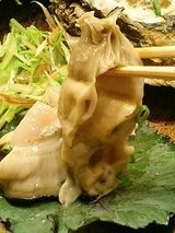 見てくださいよ!超特大です茶!