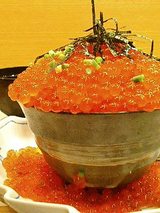 側面図