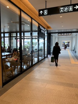 スタバピエラ (1)