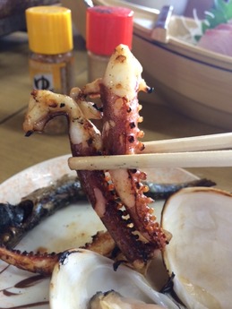 向島 ゲソ2