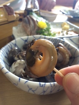 向島 ながらみ (1)