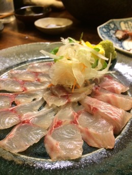 津 友一 刺身 (1)