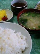 ���Ϥ����ˡ���̣����������ʪ