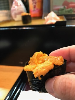 ウレシ (10)