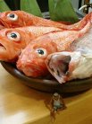 うっわ!美味そうなキンキがこっち見てるし!