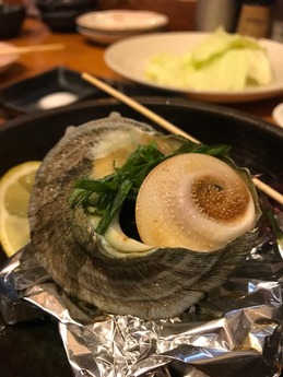 活 (14)