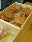 蟹おった!蟹がおった!
