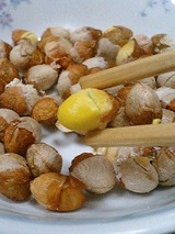 千畳 銀杏