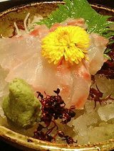 三重県産クエ造り(1600円)