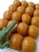10円まんじゅう