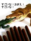 すごいな!おまえ!すごいな!