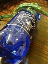 オーストリア マウンテン カフェイン ウォーター