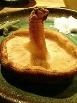 くし・にしやん 丸かぶりしいたけ(399円)