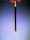 線香花火にも・・・