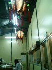 ぽん吉 店内
