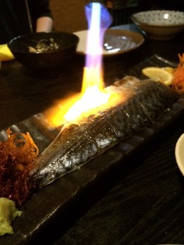 かば炉端 しめ鯖 (1)
