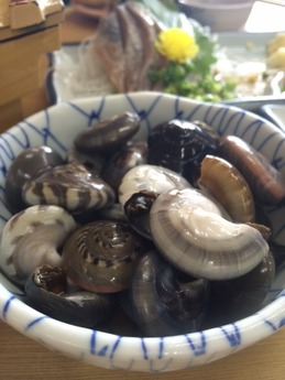 向島 ながらみ