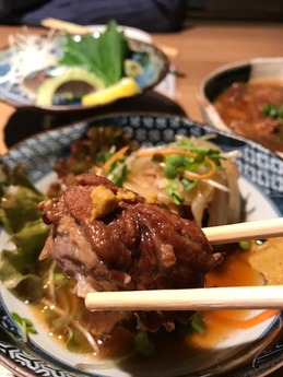 一条東向日 (9)