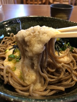 ほしえん 山かけそば 750円 (1)