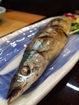 津 嬉すし 秋刀魚 (1)