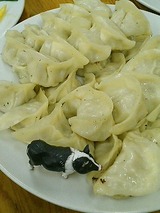 ���ҡ�10�ġ�525�ߡ��ʼ̿���20�ġ�