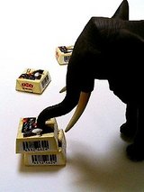 なんか積んでますゾウ。