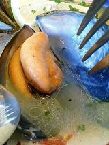 イルフォルノ ムール貝