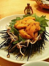 ウニ