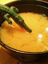 貝のお味噌汁