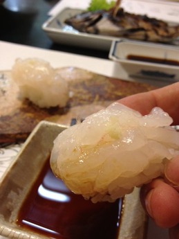 かわぐち 白海老寿司