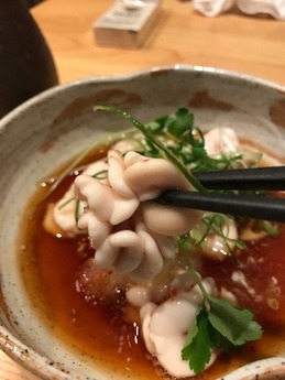 一本槍seta (8)