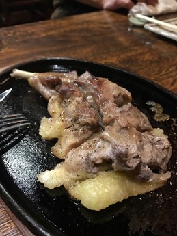こーちゃん (5)