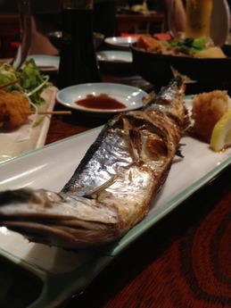 よさこい 秋刀魚