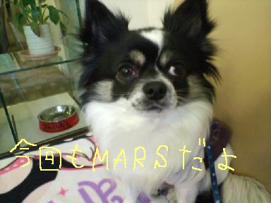 mars