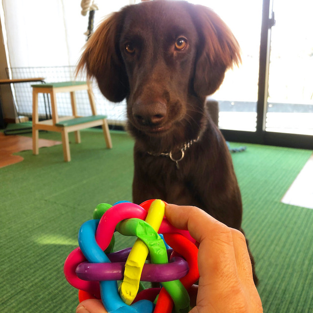 982F7DEA-4BAE-4513-AB9A-5ED10CA8331A