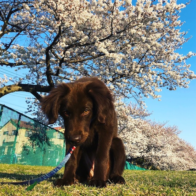 B5F216AA-2BF2-442B-9629-540C999401A9