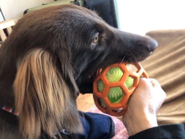 hollyrollerball_orange