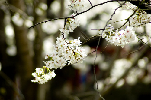 a0001_000546_m