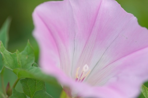 a1380_000220_m