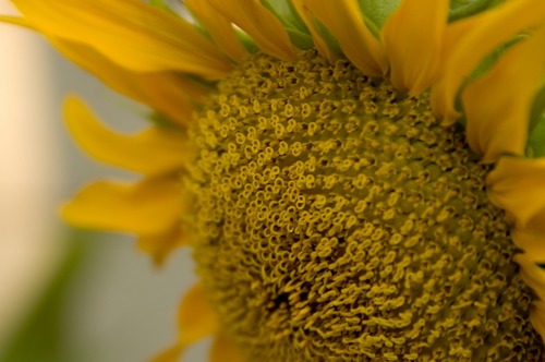 a0005_000177_m