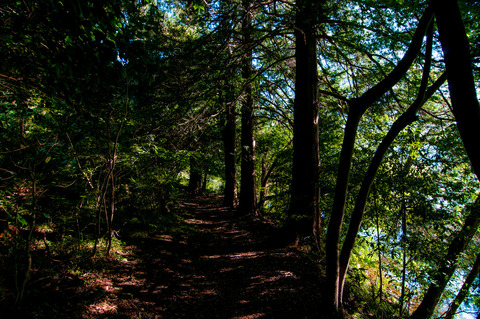 a0001_017789_m