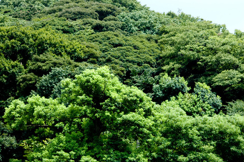 a0006_000643_m