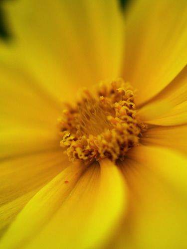 a0011_000045_m