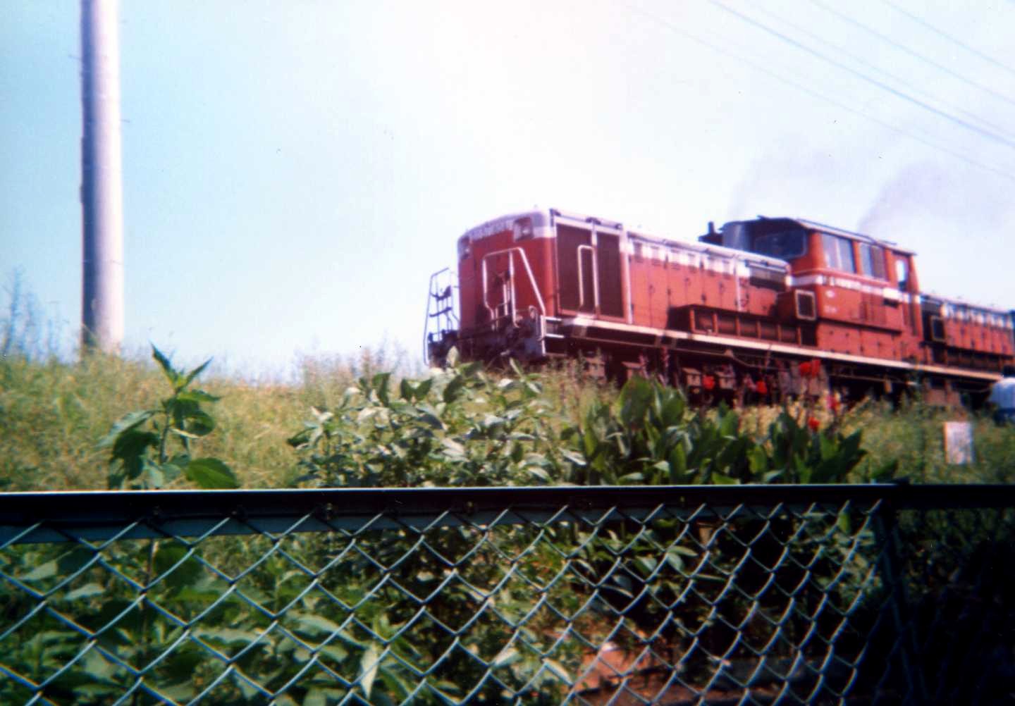 DD51 1800番台(800番台) 1804号機(千葉機関区時代) : 風来狐の鉄道雑記