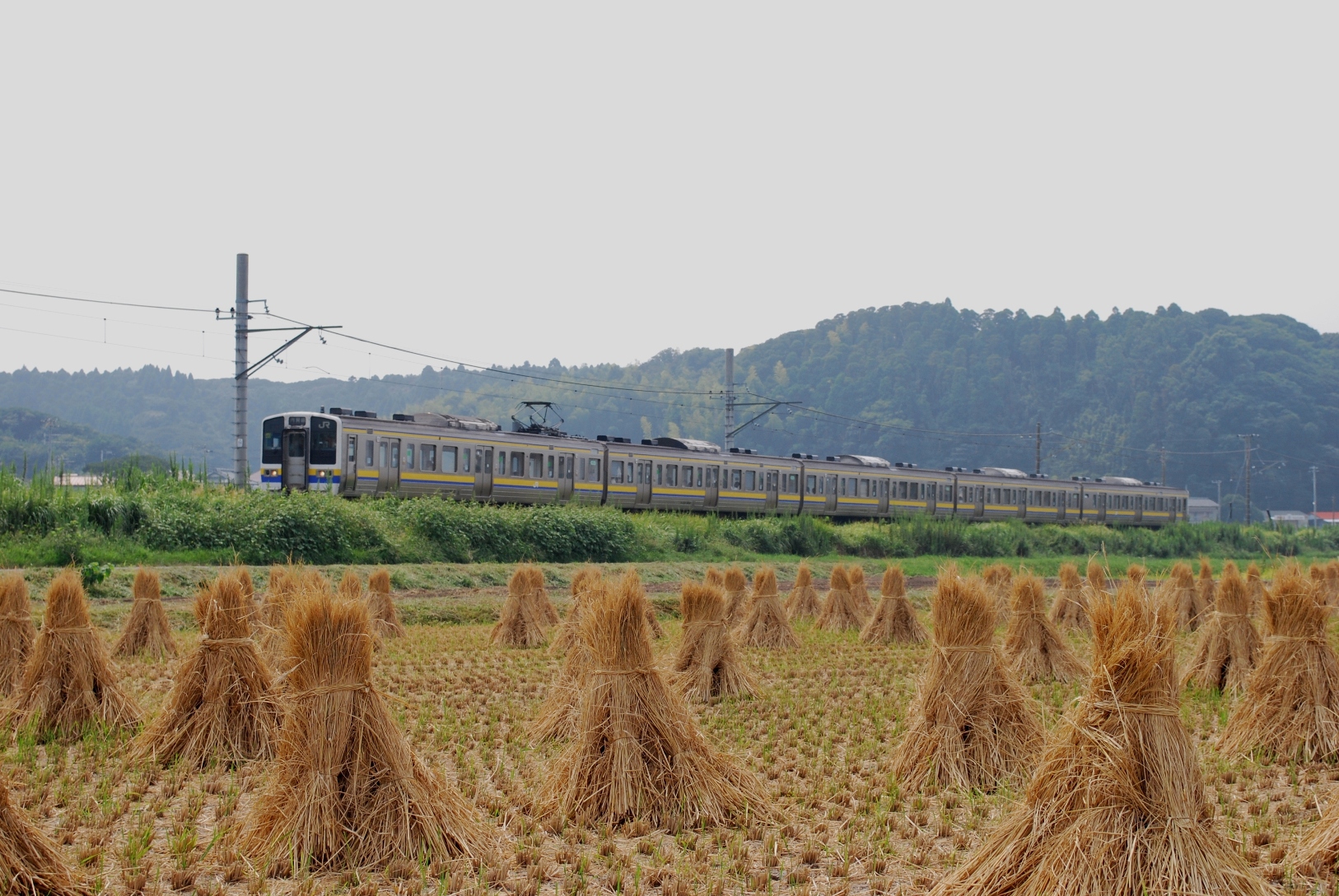 211系 稲干し 風来狐の鉄道雑記