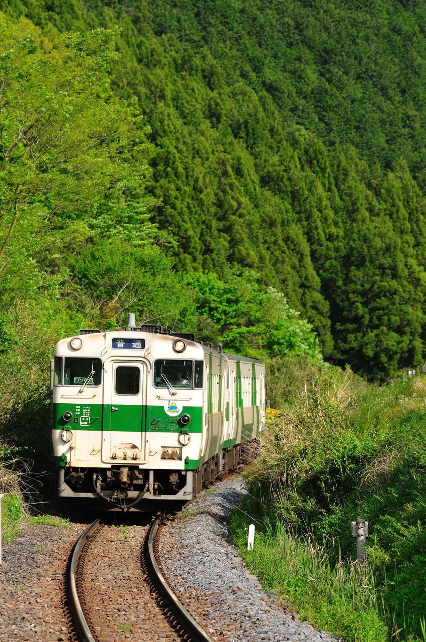 鉄道 機関プレートDMF15HSA 神鋼造機 キハ40系 【公式通販】