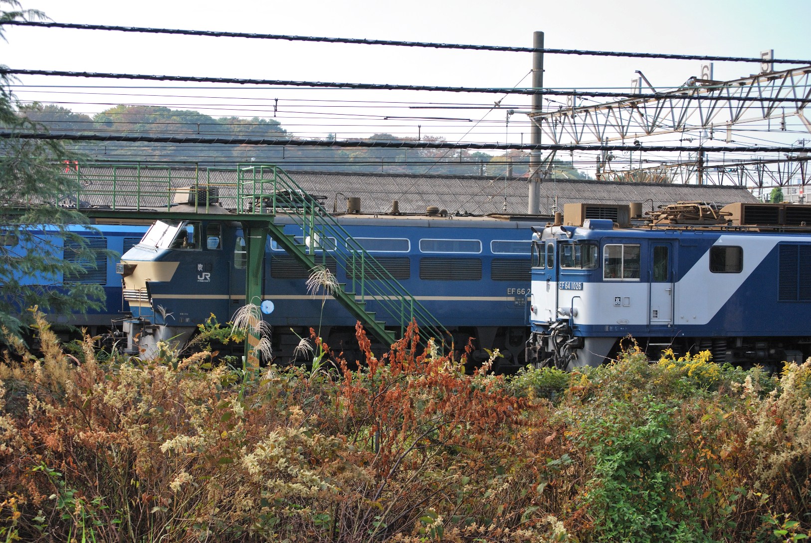 JR貨物所有唯一の原色機(EF66 27号機)+α : 風来狐の鉄道雑記