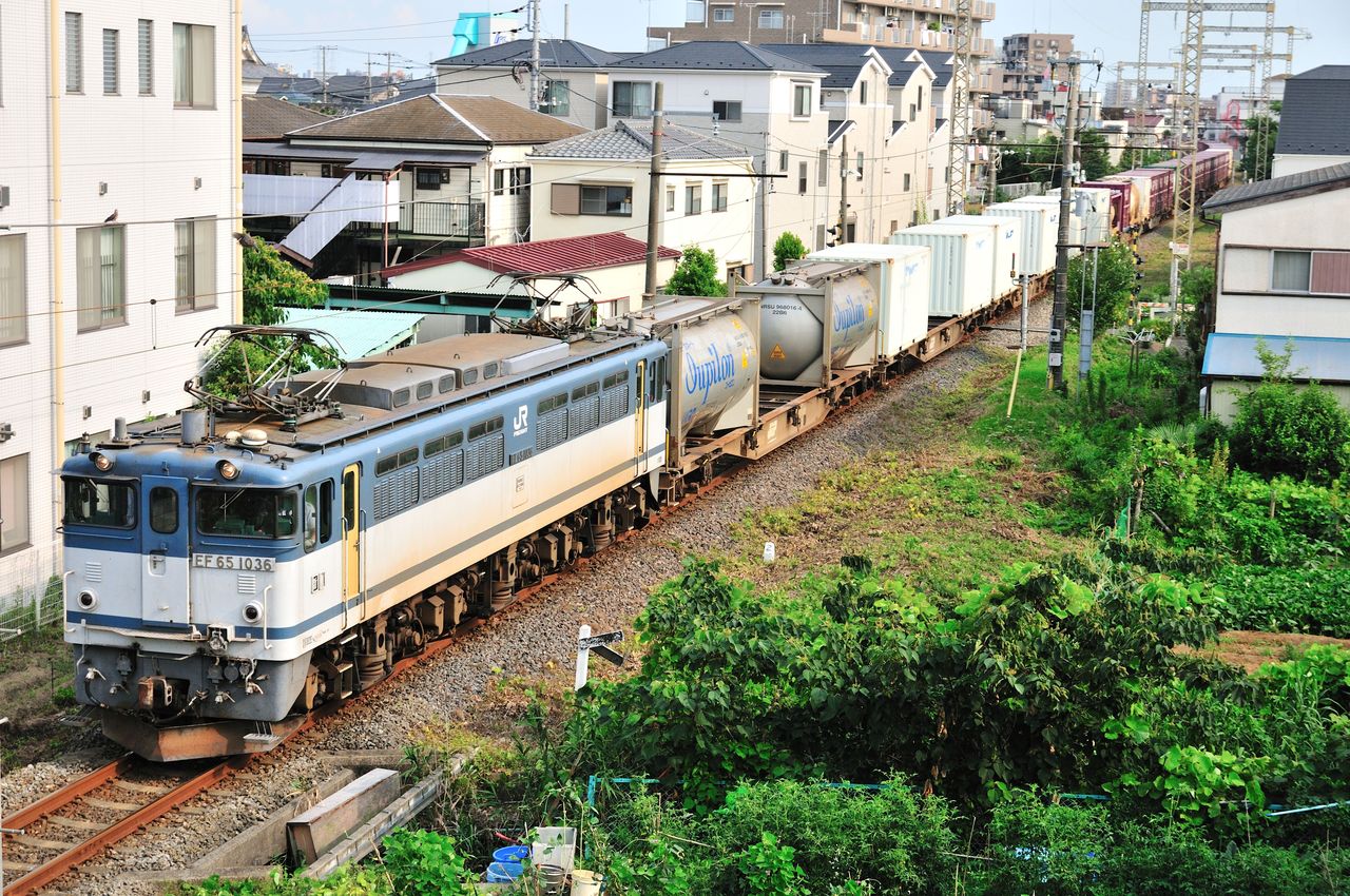 EF65 1000番台 PF形 現役稼働機最古参車両 前期形 1036号機 : 風来狐の